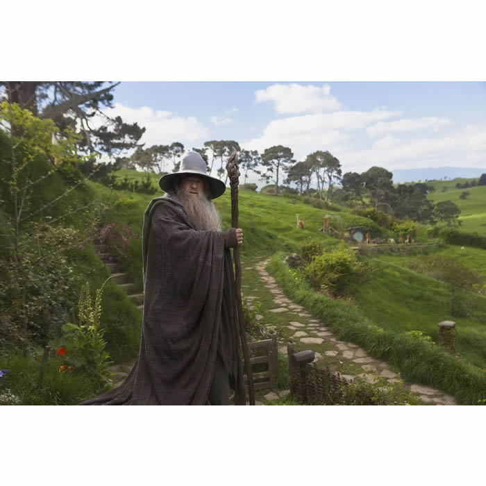 Staff of Wizard Gandalf